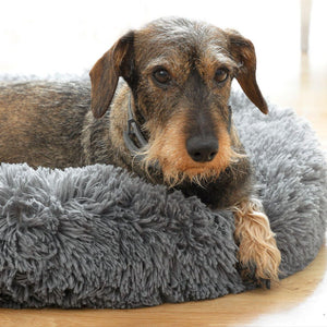 Cama para mascotas medianas